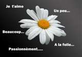 un peu bocou .....