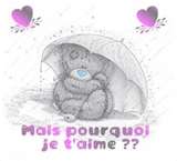 POURQUOI